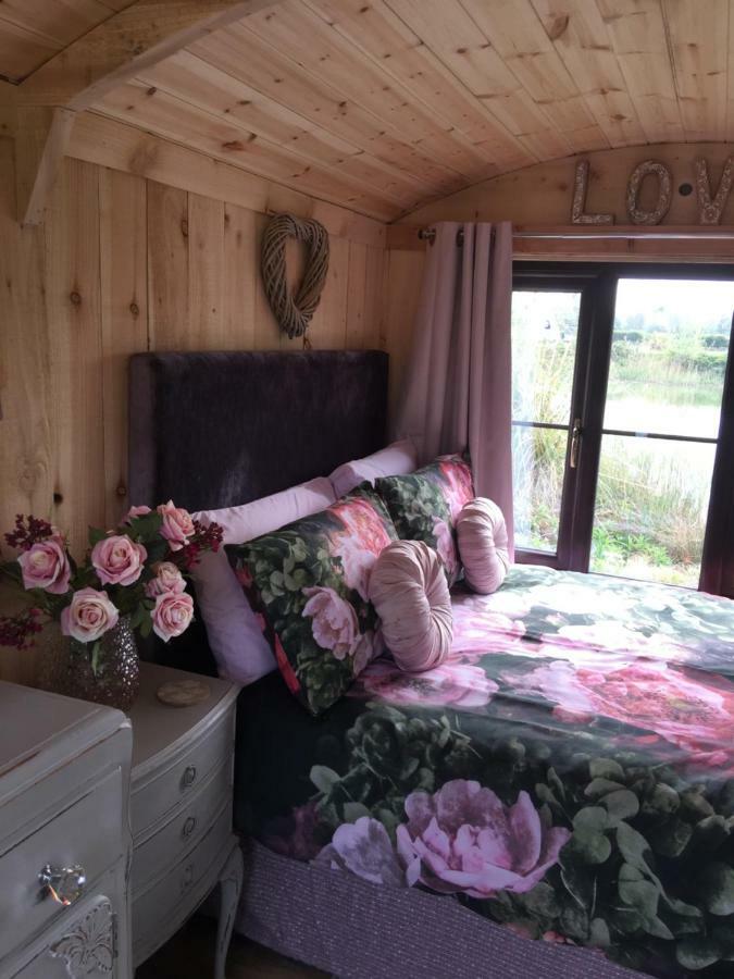 Y Cwt Bach Otel Cardiff Dış mekan fotoğraf